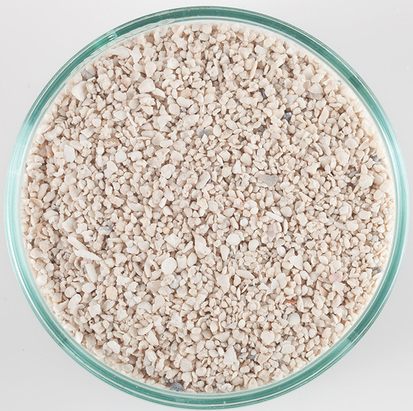 Arag-Alive Special Grade Reef Sand (20 lb) 1.0 - 2.0 mm - Caribsea