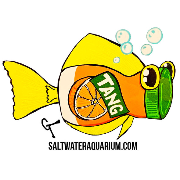 "TANG" SaltwaterAquarium.com Sticker (FREE OVER $50) - SAQ.com
